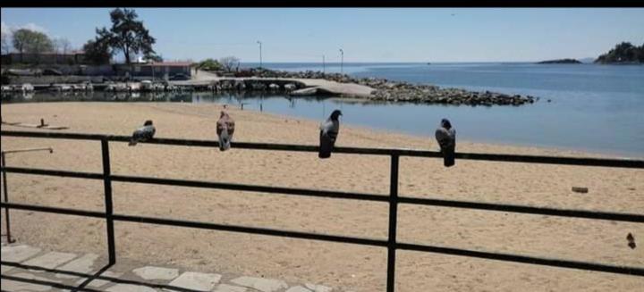 Urban Kalamitsa Beach Appartment 卡瓦拉 外观 照片